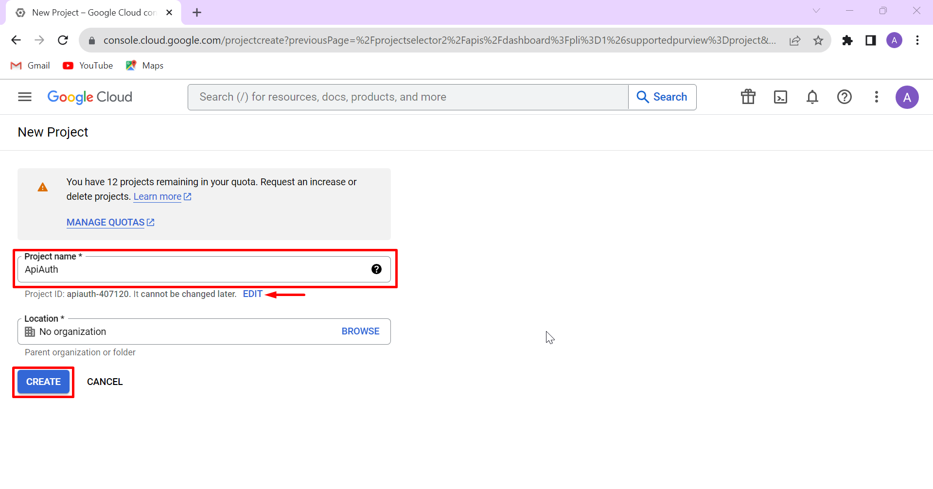 google developer console project name